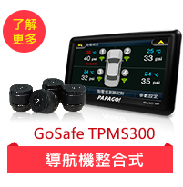 GoSafe TPMS300